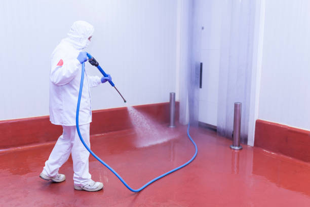 Best Heavy Equipment Washing  in South Highpoint, FL