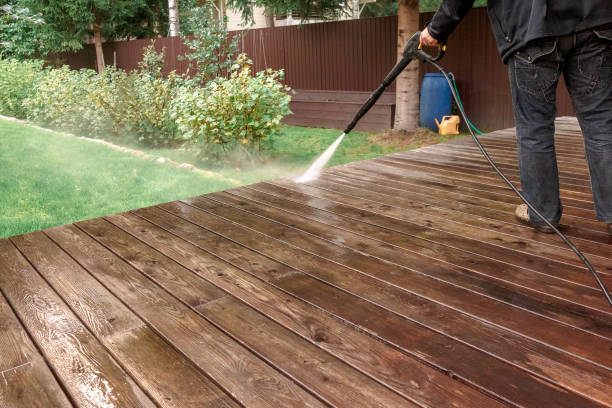 Best Animal Enclosure Cleaning  in South Highpoint, FL